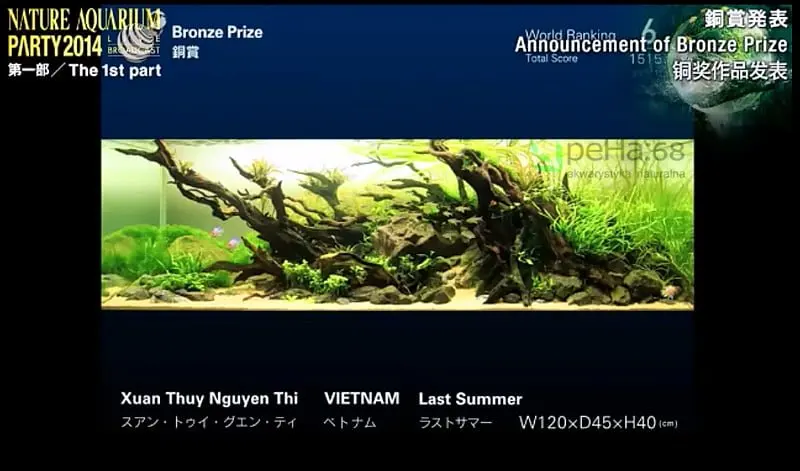 6. Xuan Thuy Nguyen Thi - Last Summer