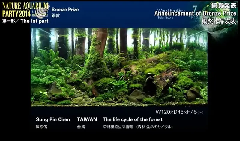 7. Sung Pin Chen - The life cycle of the forest