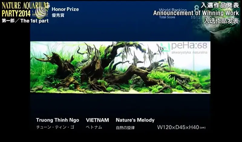 8. Truong Thinh - Natures Melody