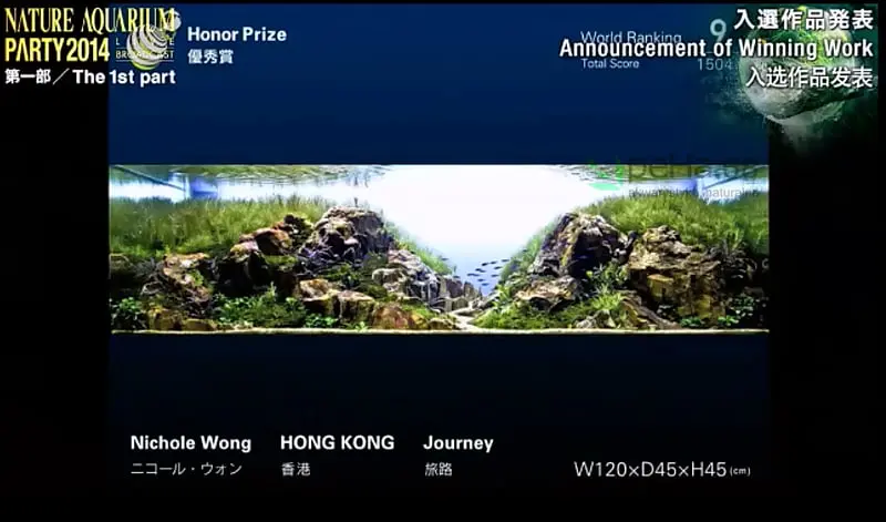 9. Nichole Wong - Journey