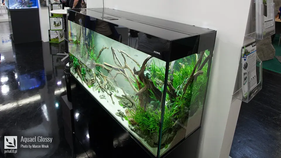 Aquael Glossy 005