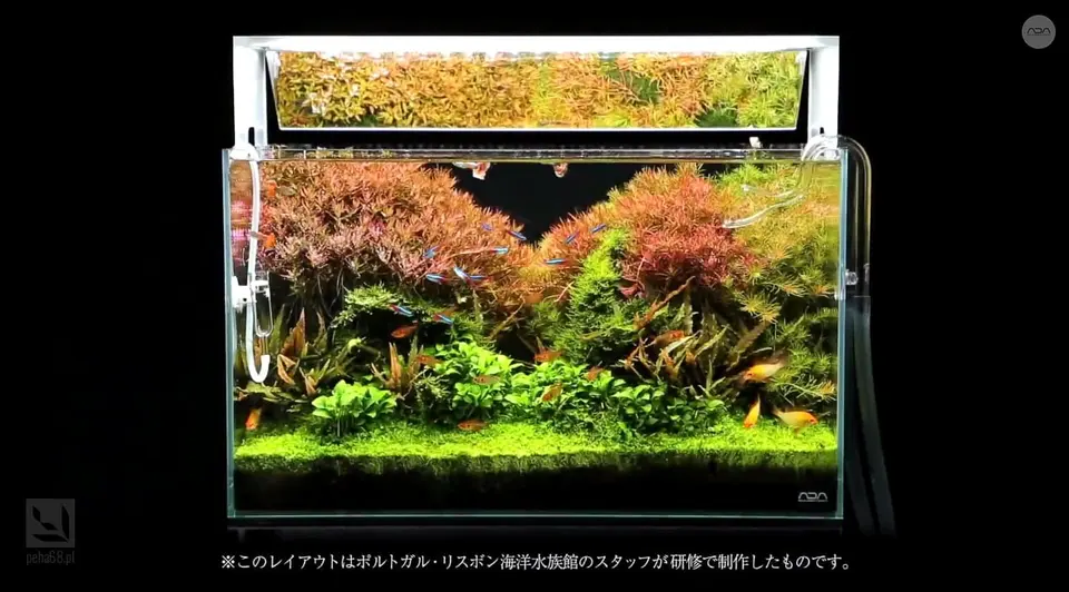 ADA Aquasky Moon