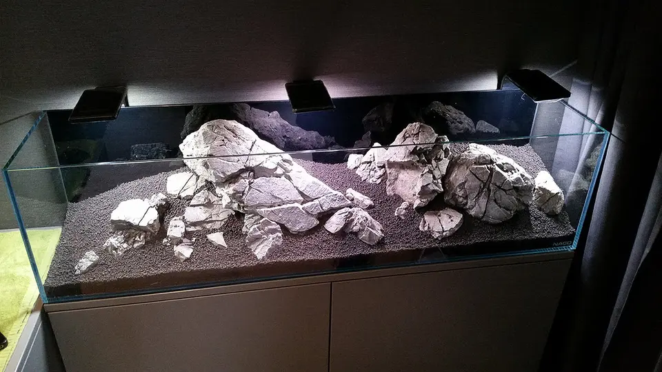 Akwarium NACD 117x28x30cm - Day 1
