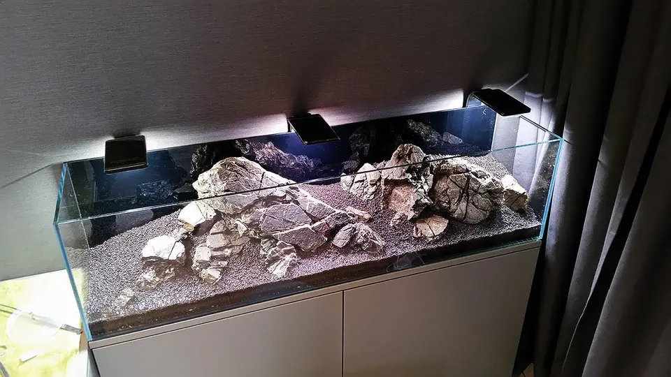 Akwarium NACD 117x28x30cm - Day 1