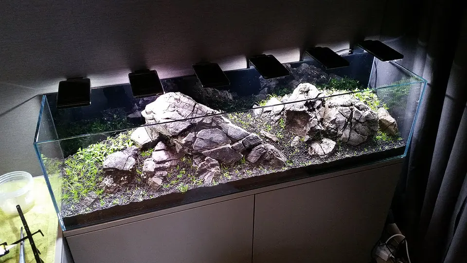 Akwarium NACD 117x28x30cm - Day 1