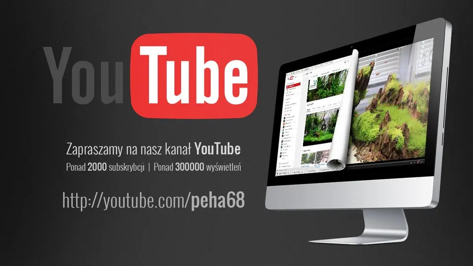 Nasz kanał na Youtube
