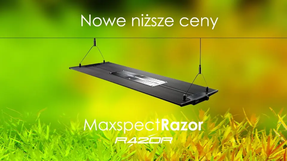 Maxpect Razor