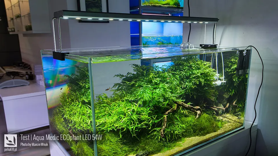Test lampy LED Aqua Medic ECOplant 54W