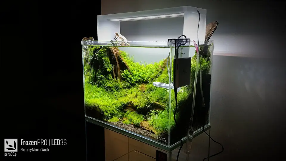 FrozenPro LED36