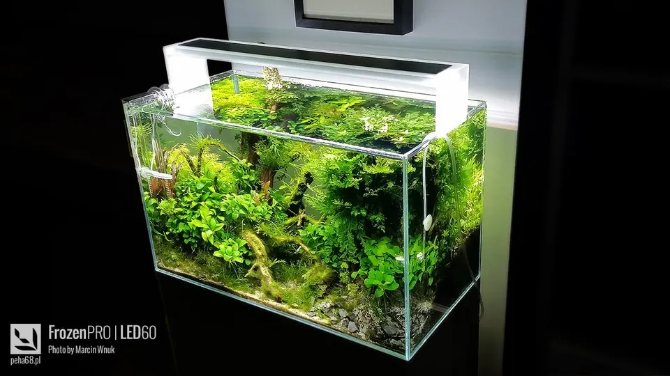 Oświetlenie akwarium - FrozenPRO LED60