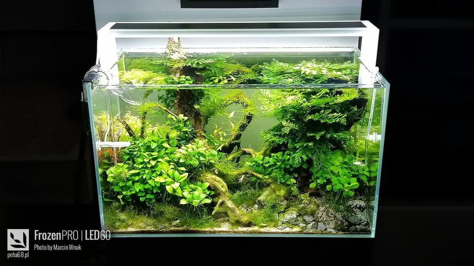 FrozenPRO LED60