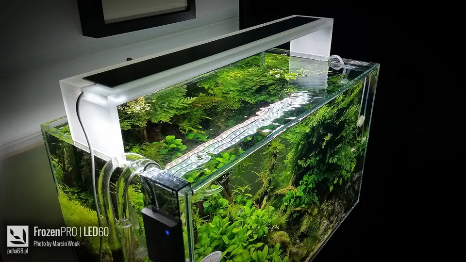 FrozenPRO LED60