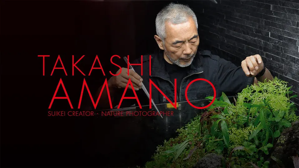 Takashi Amano