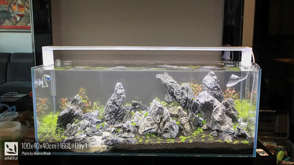 100x40x40cm 160L - Iwagumi 023