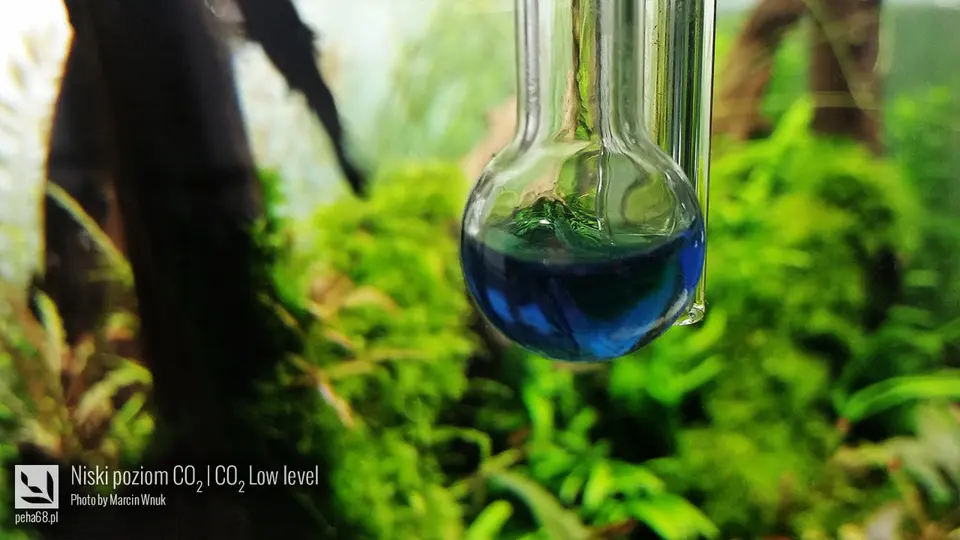 Niski poziom CO2 w akwarium