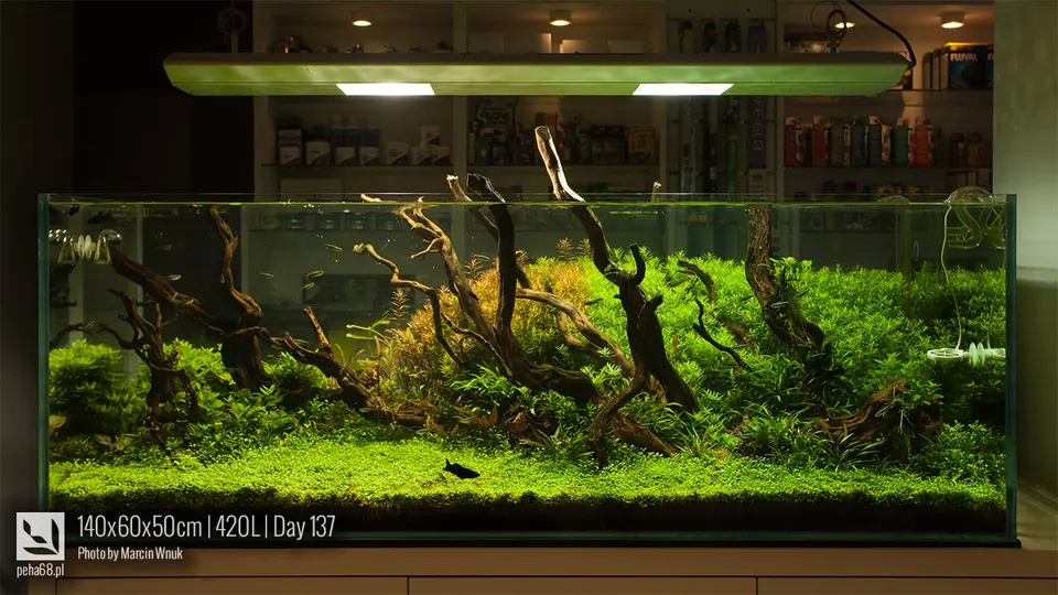 140x60x50cm | 420L