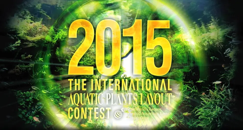 IAPLC 2015 - Wyniki