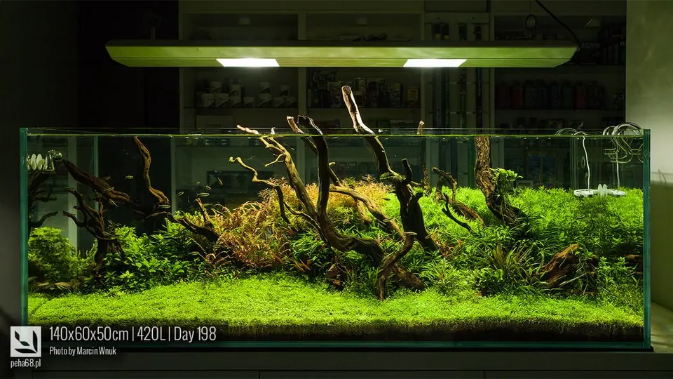 140x60x50cm - 420L