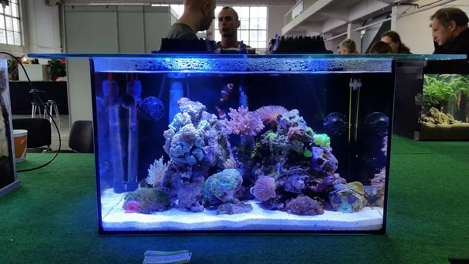 20151018_105750