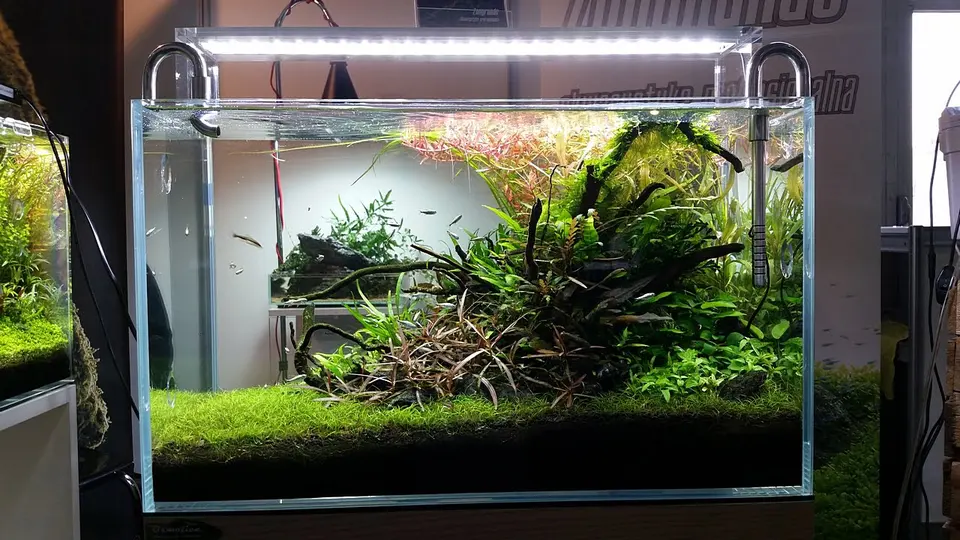Aqua&Zoo 2015 cz.2