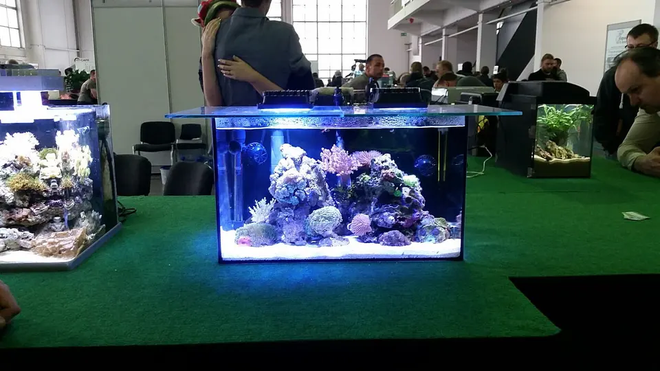 20151017_154743