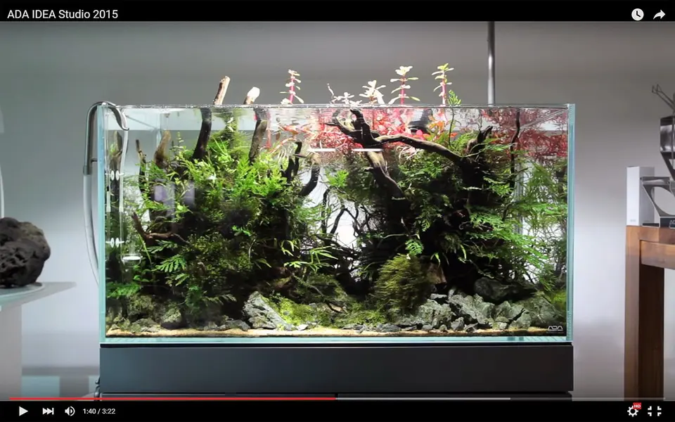 ADA IDEA Studio 2015 - Film