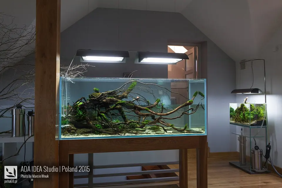 Akwaria ADA Idea Studio 2015