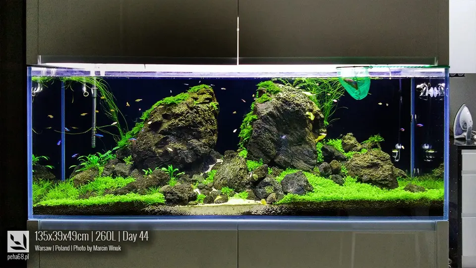 135x39x49cm - 236L