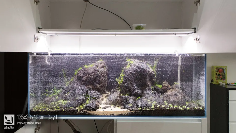 135x39x49cm -Day 1 - 005