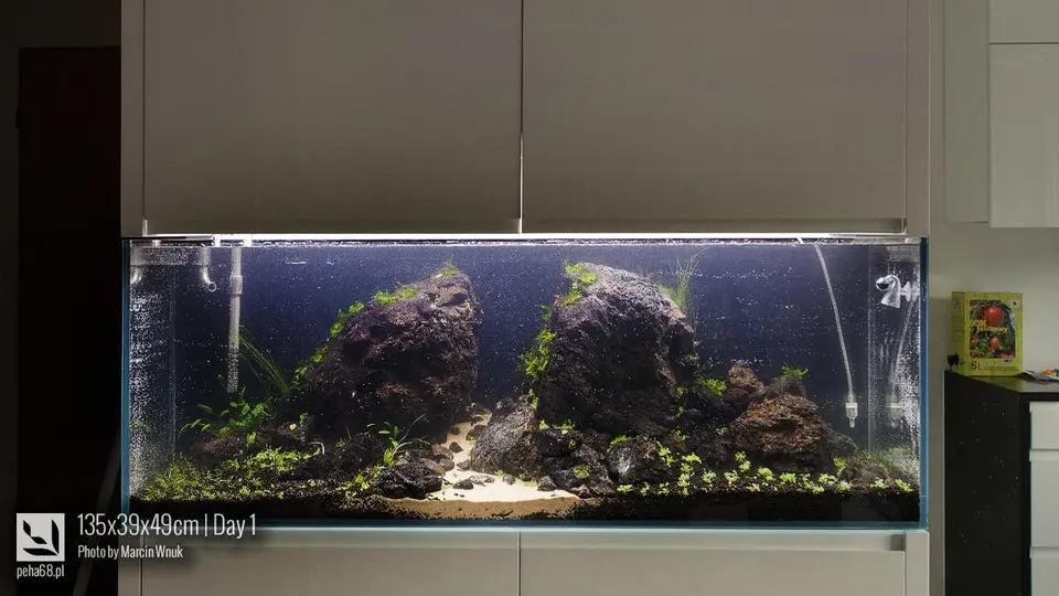 135x39x49cm -Day 1 - 006
