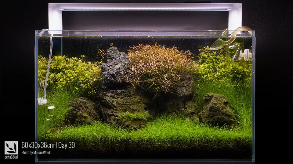 60x30x36cm - 64L