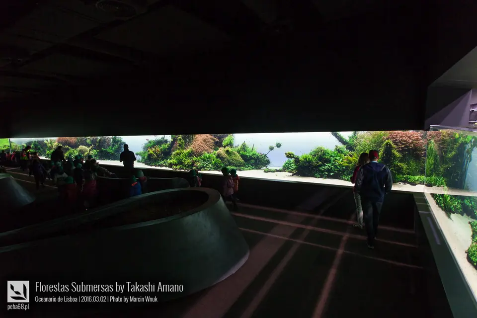 Florestas Submersas – panorama akwarium