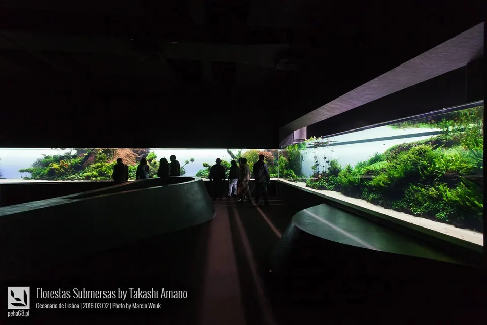 Sala wystawy Florestas Submersas