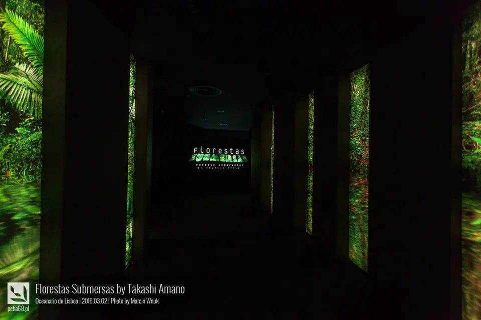 Forest Underwater by Takashi Amano (Florestas Submersas)
