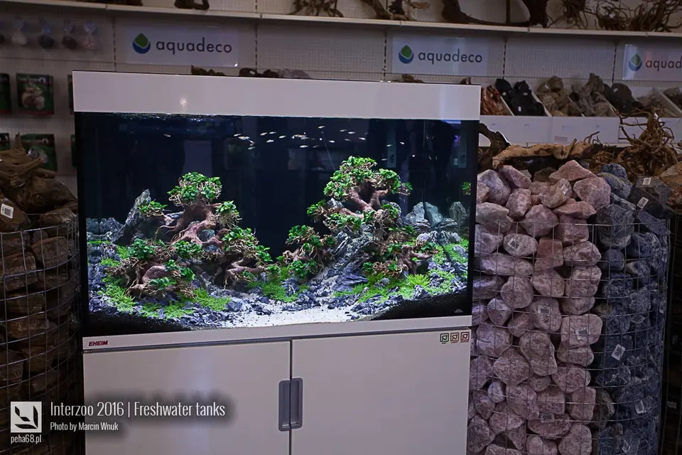 Aquadeco 03