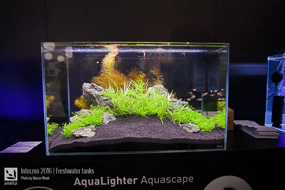 Aqualighter