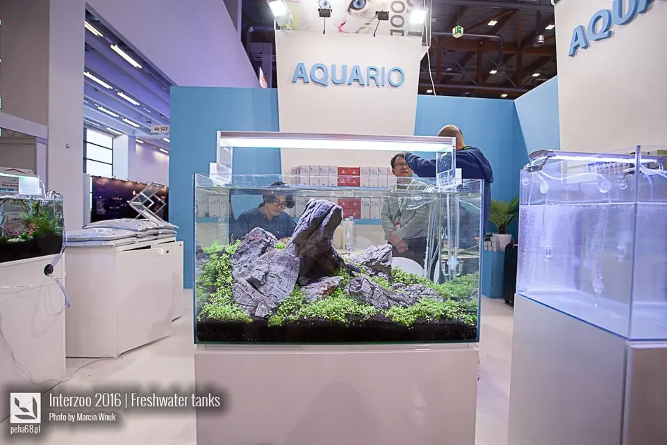 Aquario 02