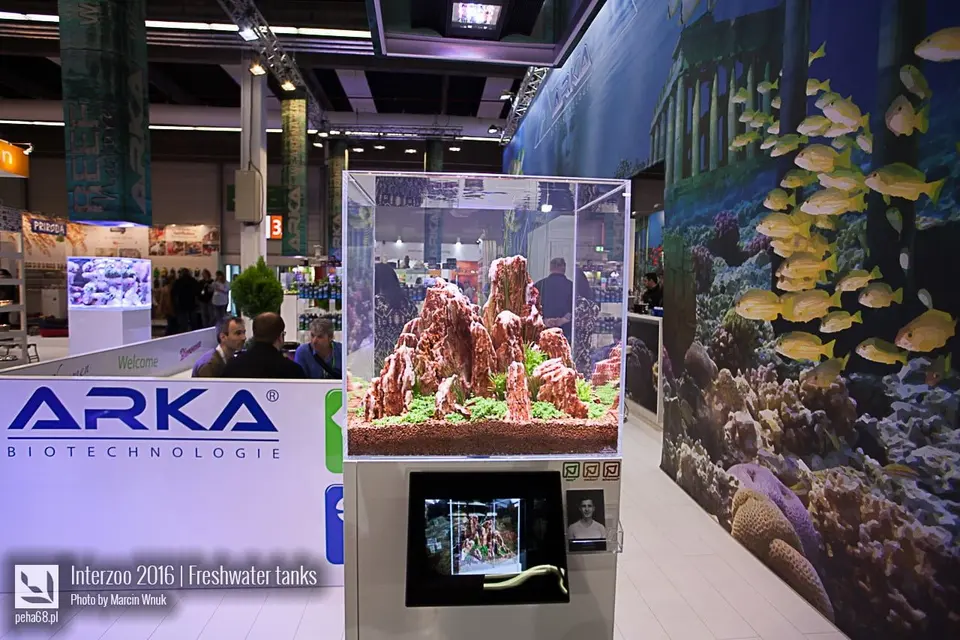 Arka