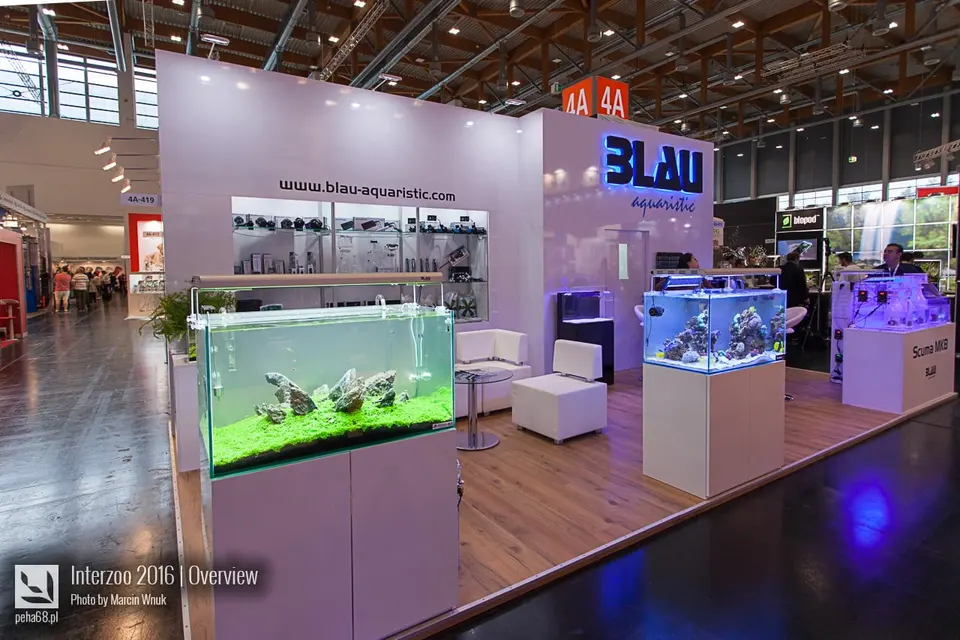 Blau01