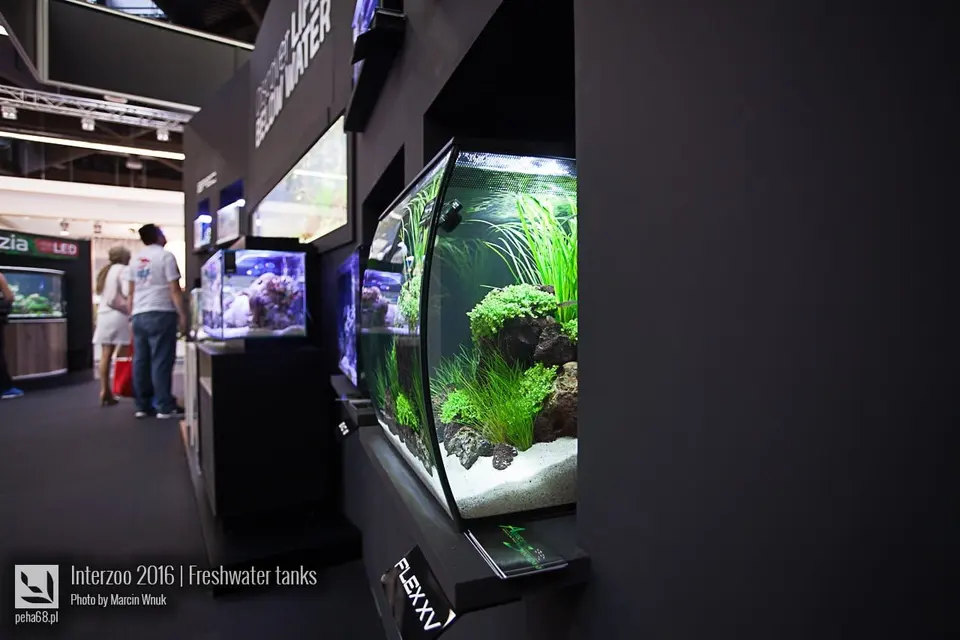 Fluval 01