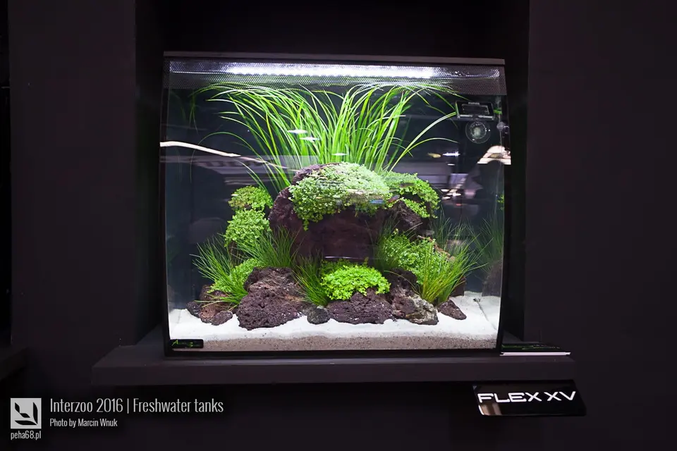 Fluval 02