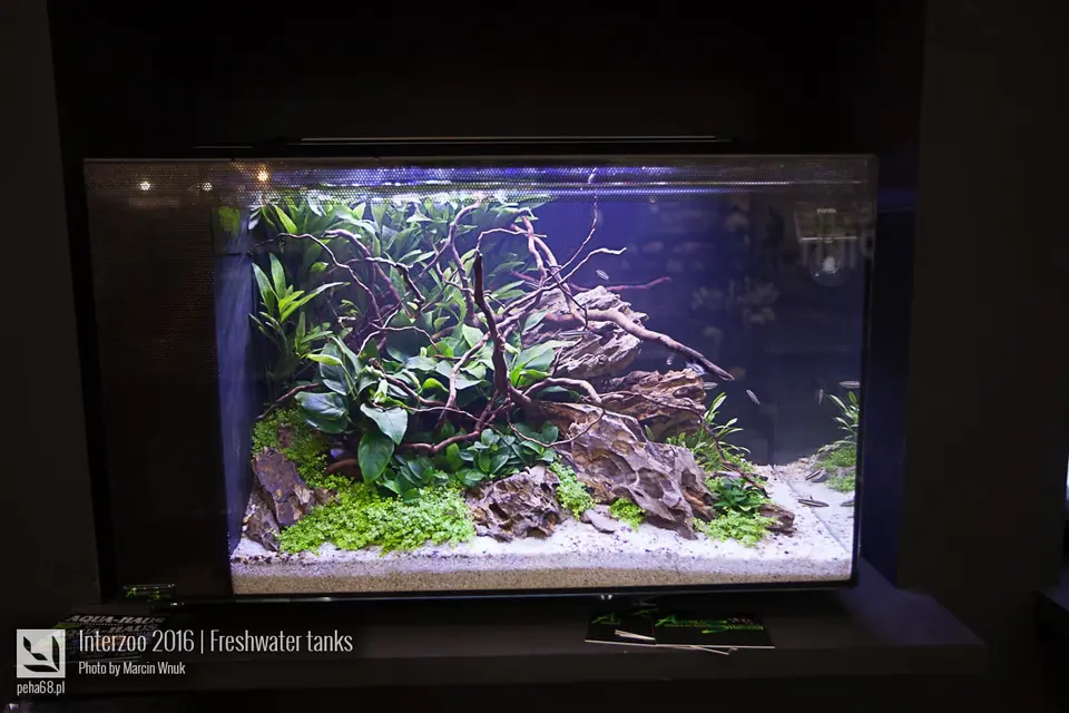 Fluval 05