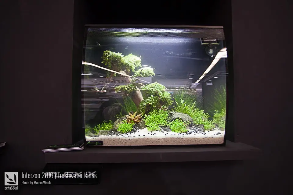 Fluval