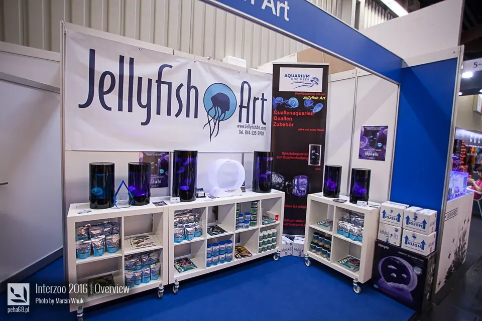 Jellyfish Art