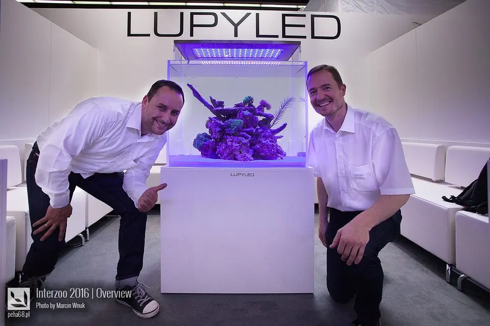 Lupyled 02