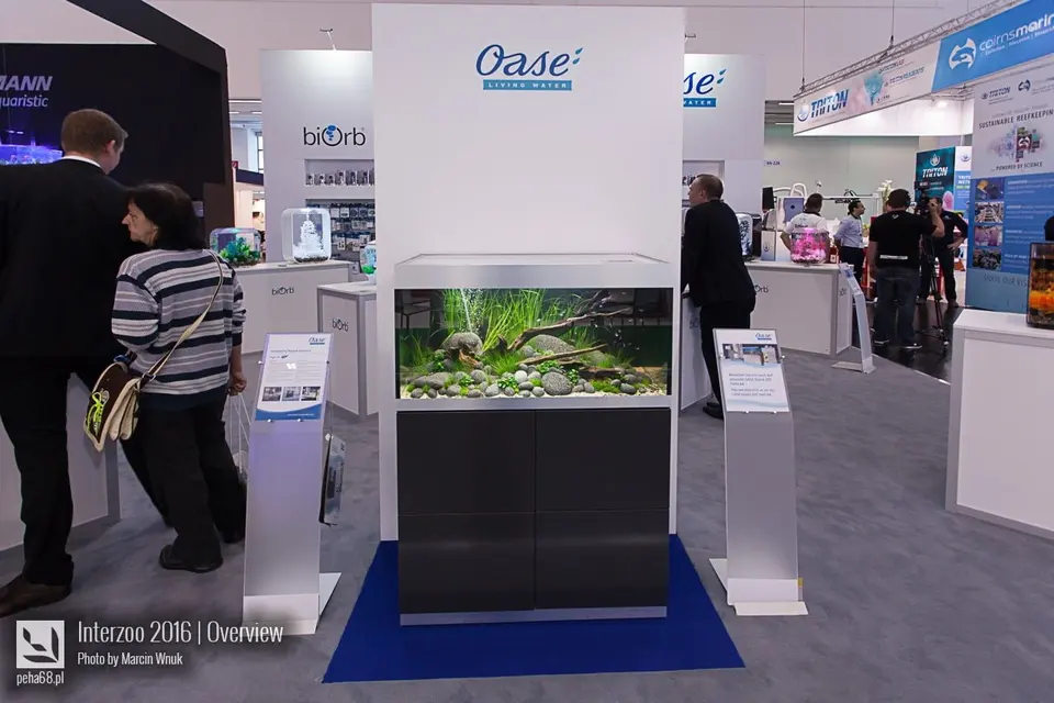 Oase