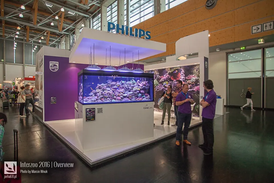 Philips 01