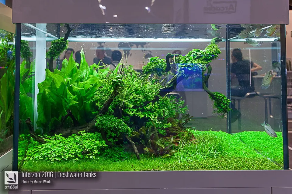 Tropica 03