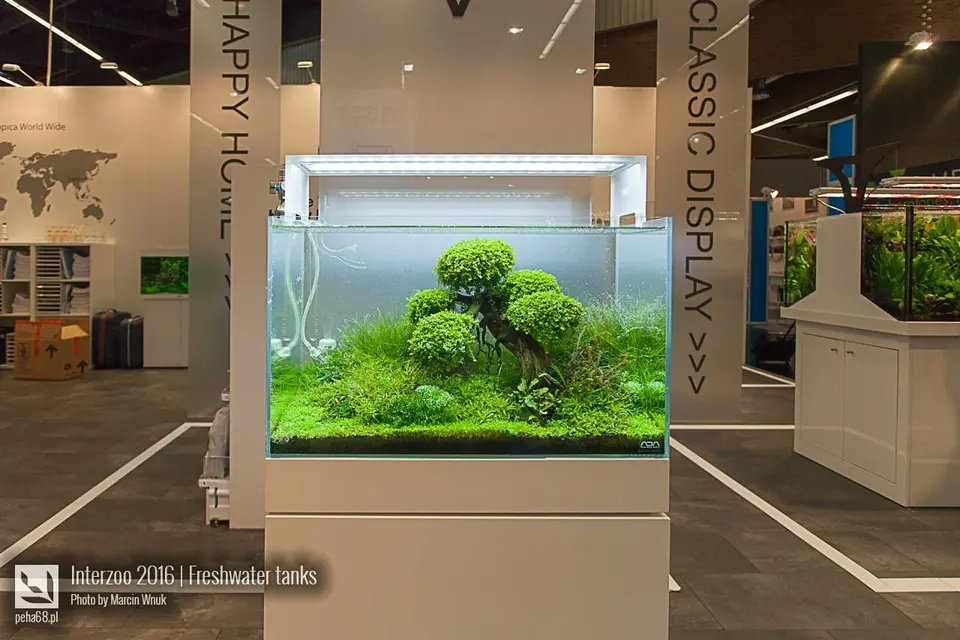 Interzoo 2016 - Akwaria słodkowodne