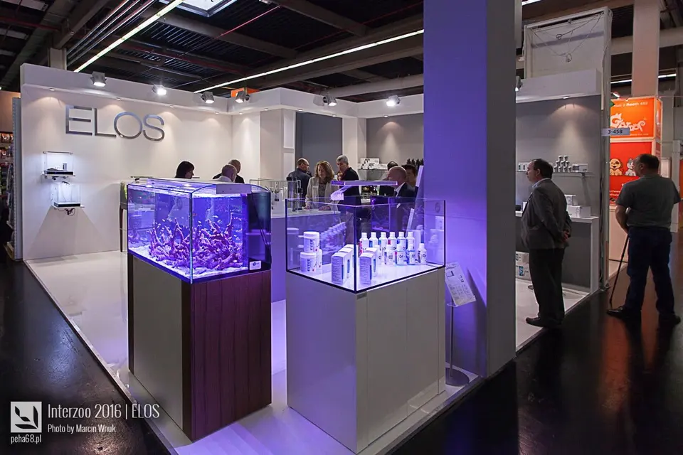 IMG_4557